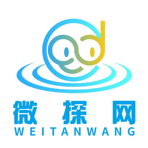 商友信息 佛山市微探网信息科技如何赋能企业数字化发展